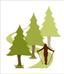 Suffolk and Norfolk Nordic Walking