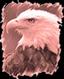 Eagle's Wing 