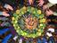 Ilkley Forest School Cooperative